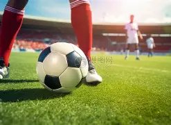 届金鹰盛典,揭晓,任达华童瑶,JBO竞博官网,JBO竞博官网全球信赖,JBO竞博官网在线娱乐平台,JBO竞博官网玩家首选,JBO竞博官网JBO竞博,JBO竞博官网游戏平台