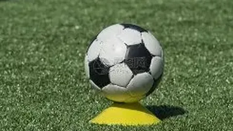 JBO竞博 产品 104313 wtd