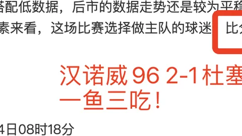 郑钦文三站赛事一胜，伤病或为下滑关键因素？