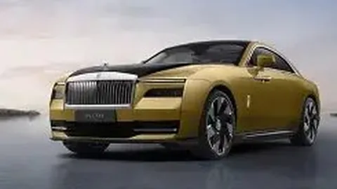 佩佩左前臂尺骨手术成功，现正康复中